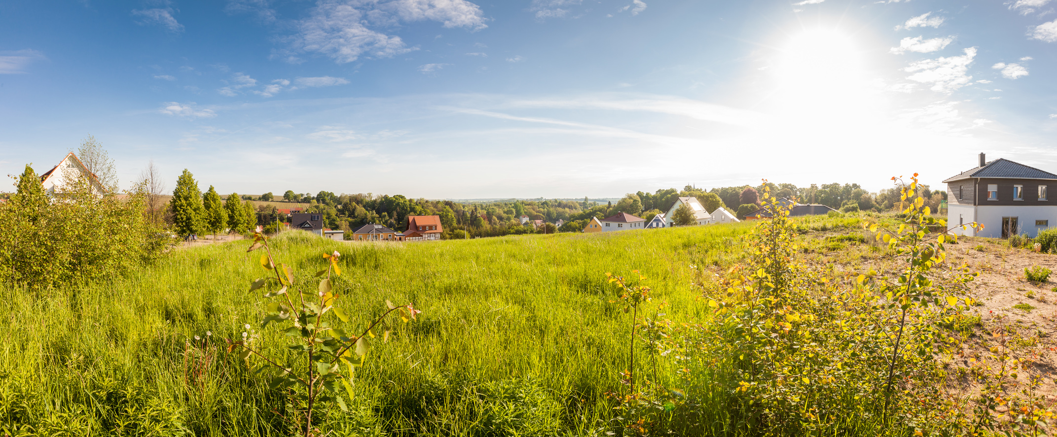 grüne wiese mit sonne