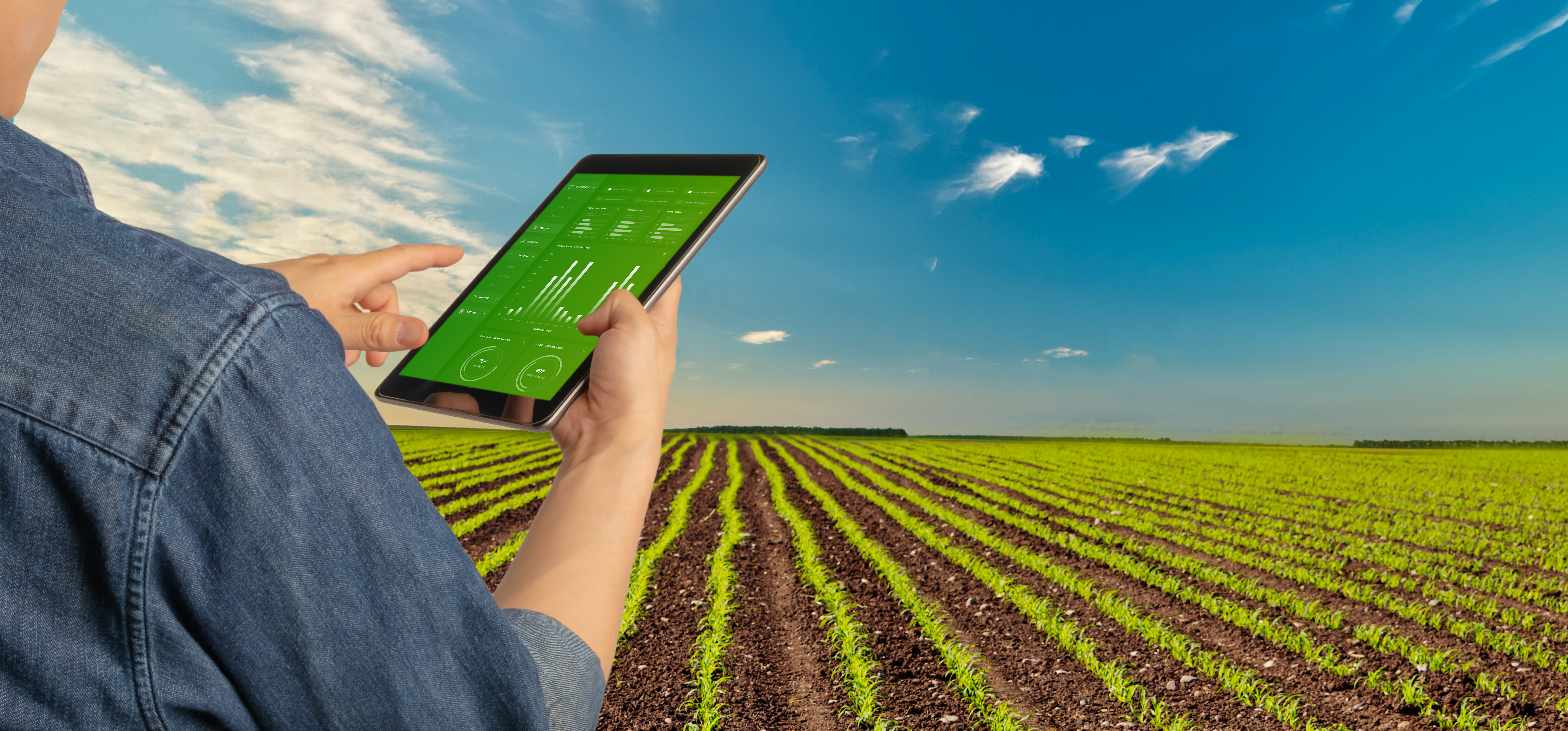 mann mit tablet steht vor geleaster landwirtschaft
