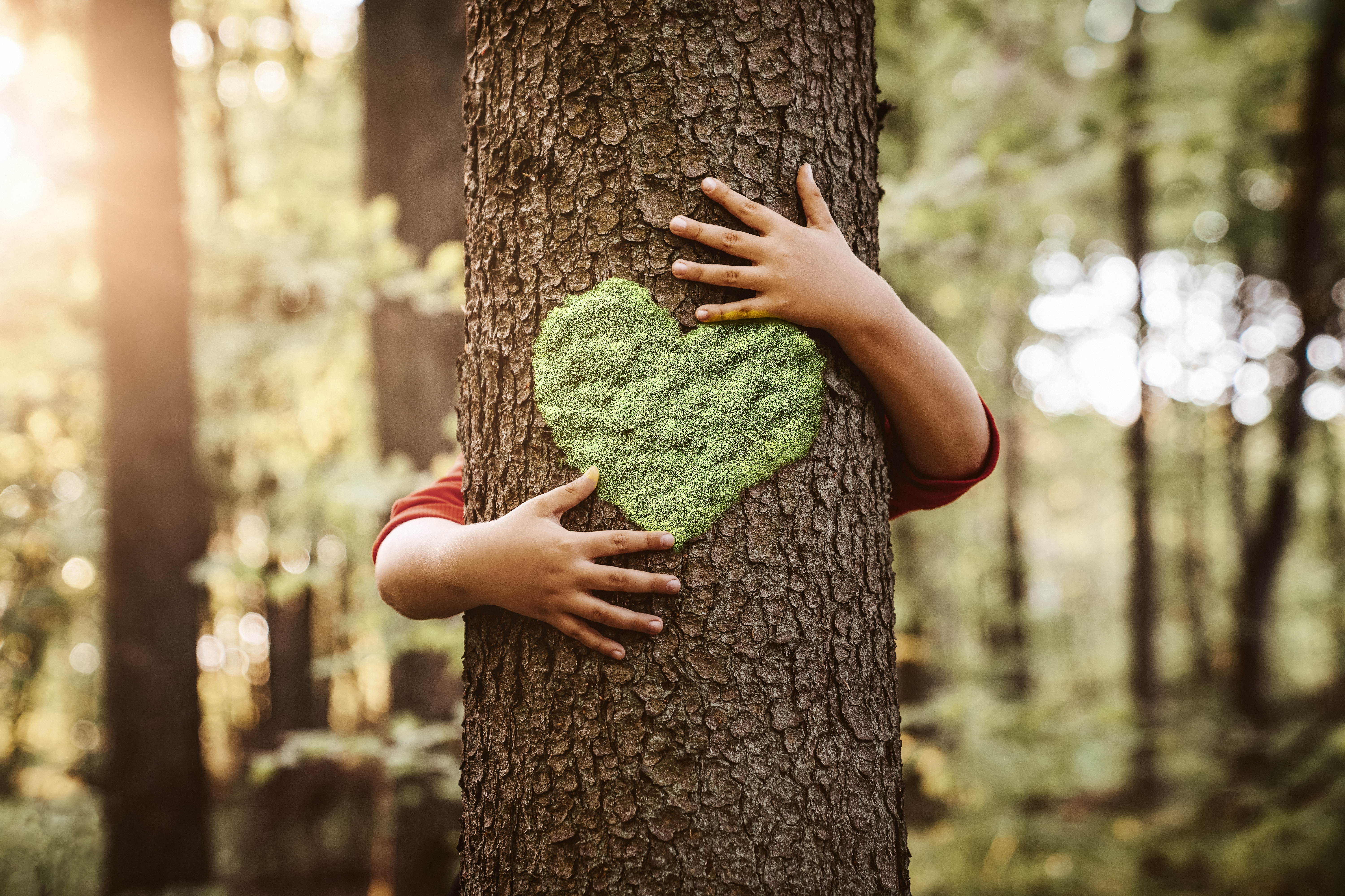 Kind umarmt den Baum. Foto für Leasing-News Artikel zum Thema Klimaneutral investieren.