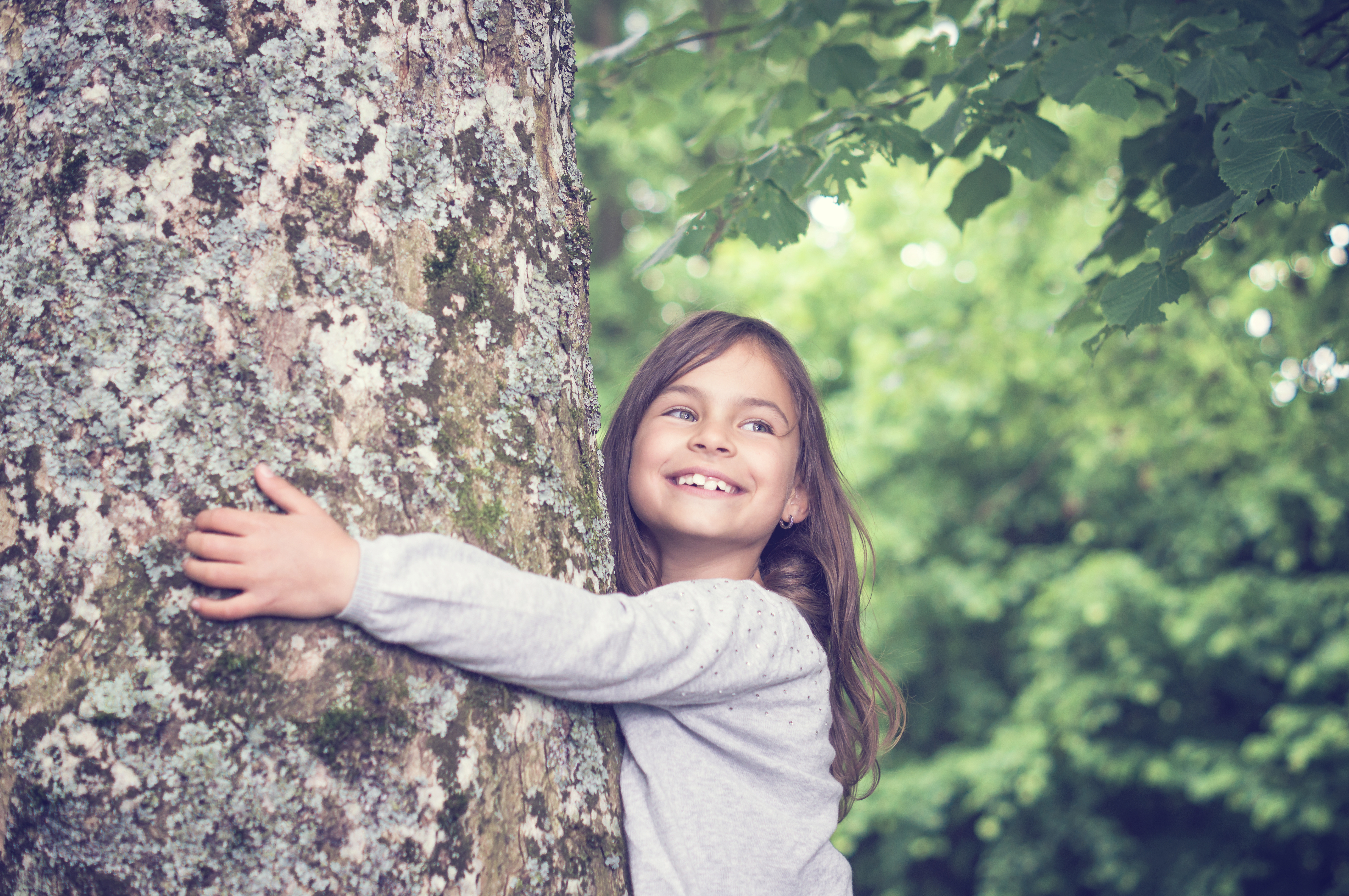 Kind umarmt den Baum. Foto für Leasing-News Artikel zum Thema Klimaneutral investieren.