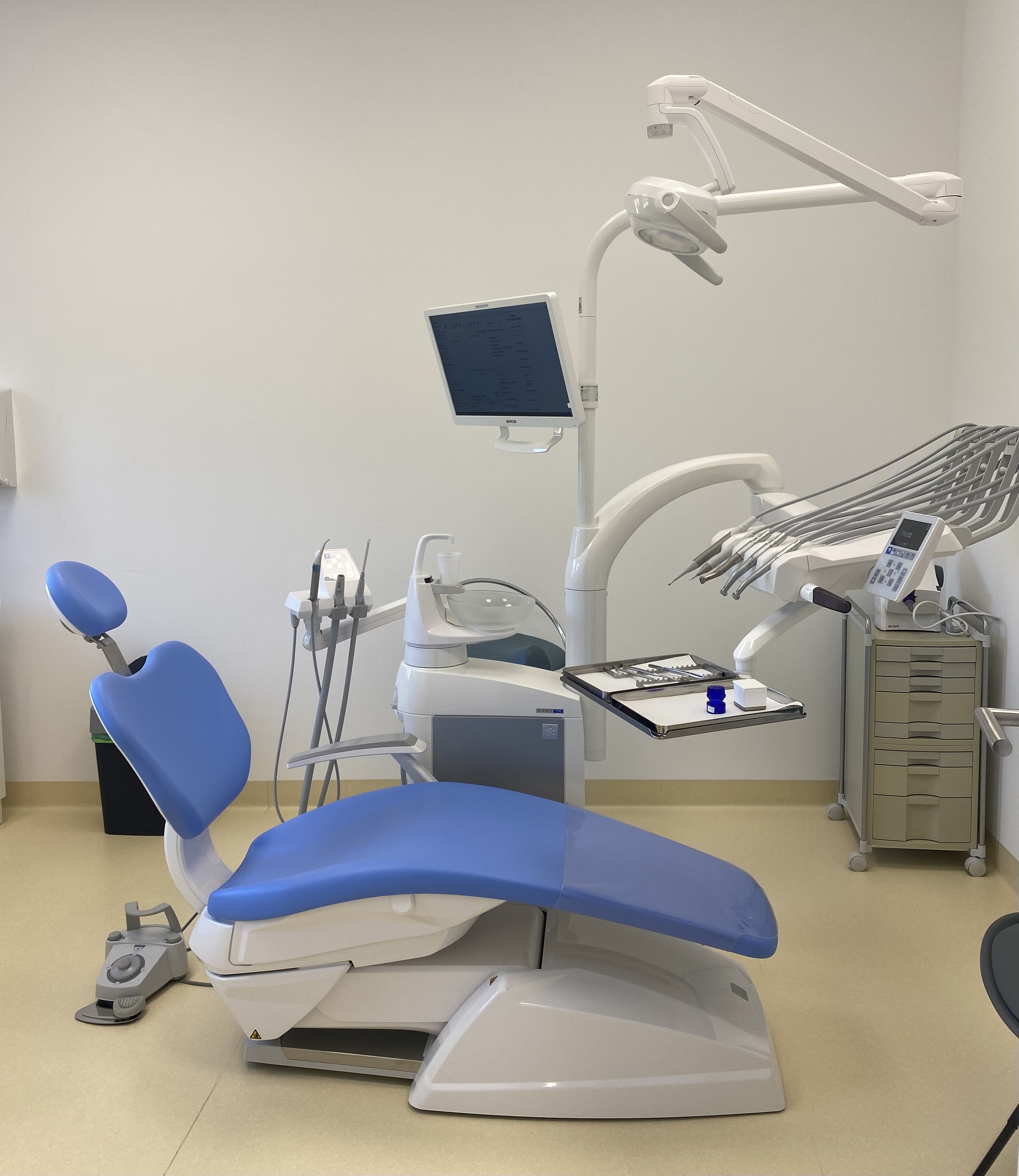 Geleaste Zahnarztliege